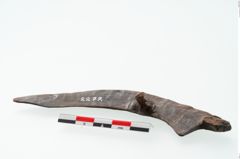Foto von Eisengriffangelmesser (NHMW-PRAE-002277)